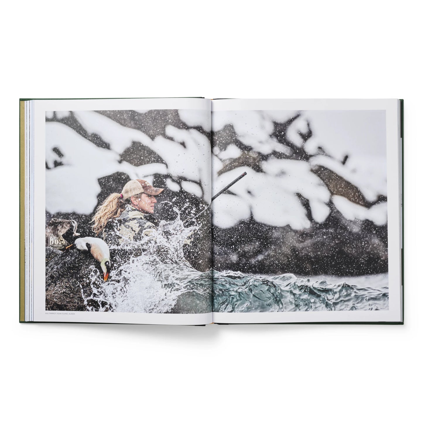 Ducks Coffee Table Book - US 5762