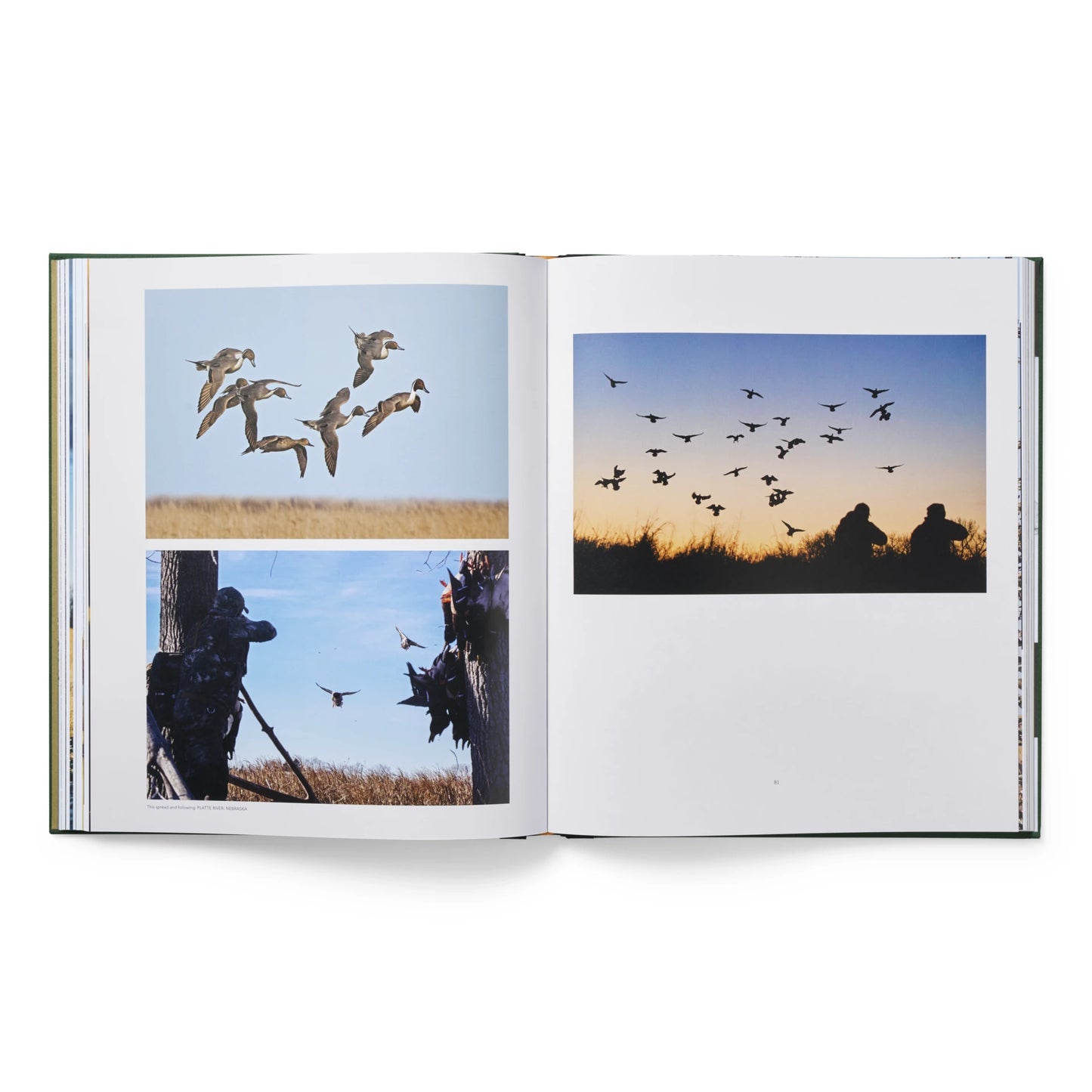 Ducks Coffee Table Book - US 5762